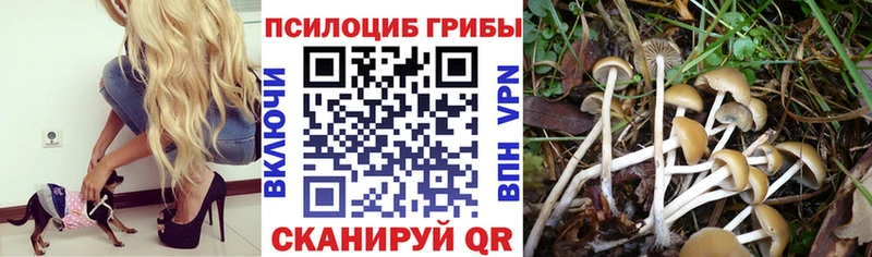 Галлюциногенные грибы мухоморы  наркота  Мостовской 